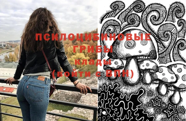 PSILOCYBIN Нягань
