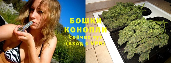 PSILOCYBIN Нягань