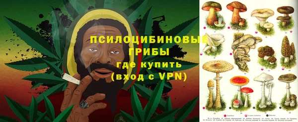 PSILOCYBIN Нягань