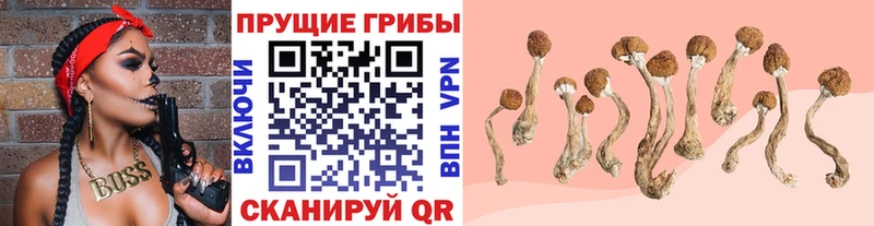 Псилоцибиновые грибы ЛСД  дарнет шоп  Чита 