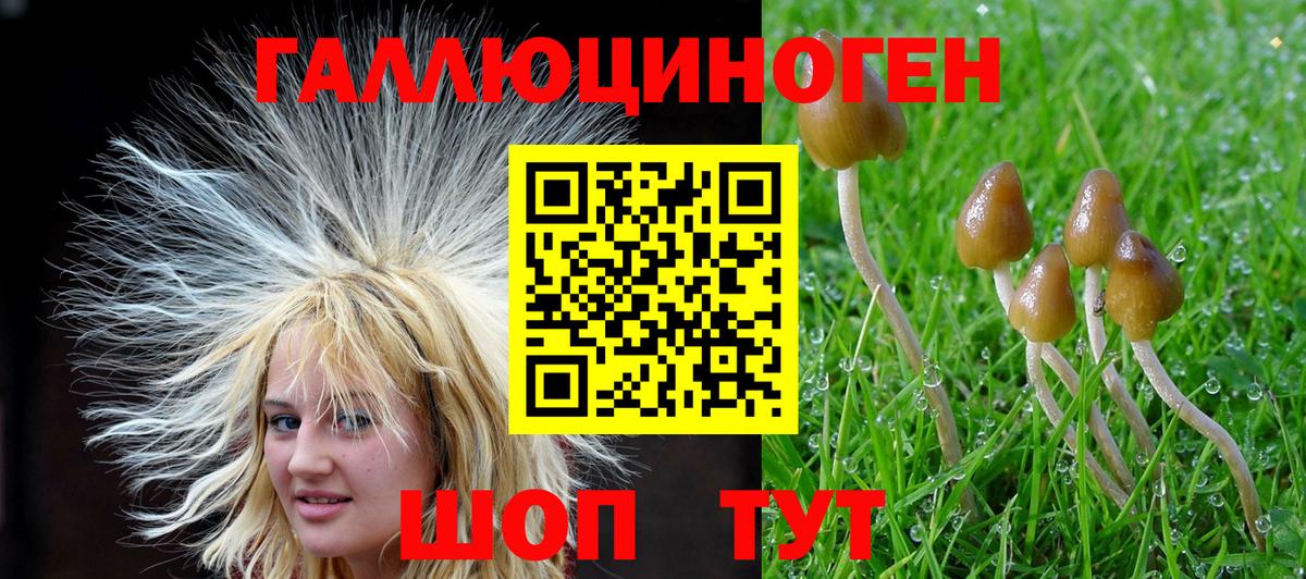 Псилоцибиновые грибы MAGIC MUSHROOMS Чита