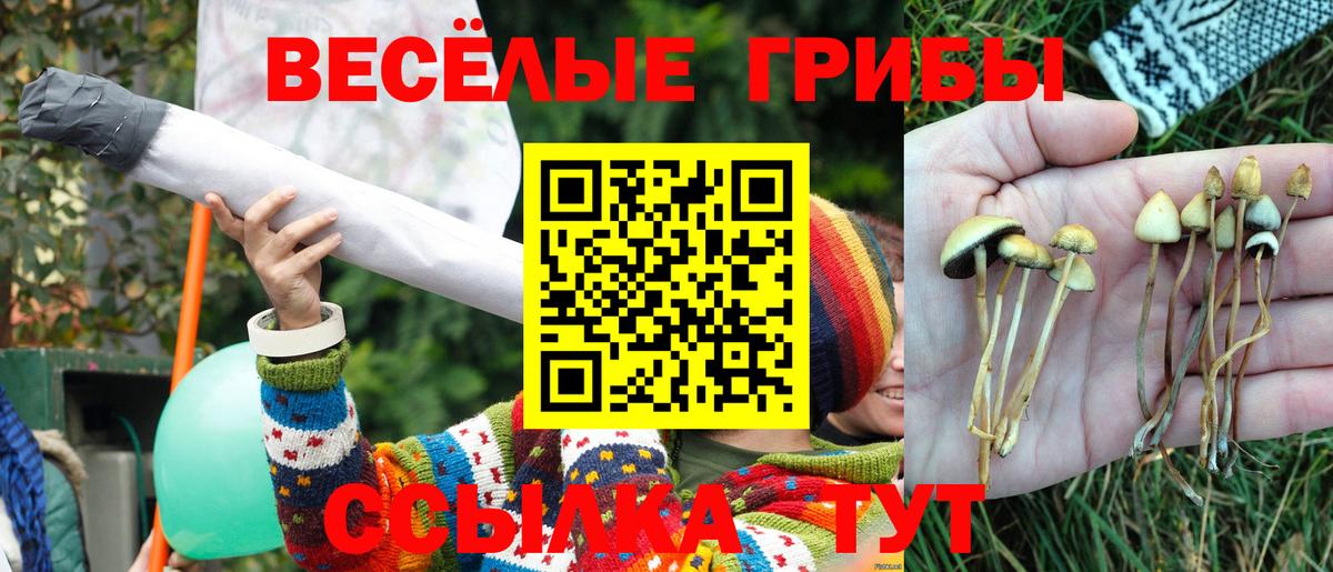 Псилоцибиновые грибы мухоморы Чита