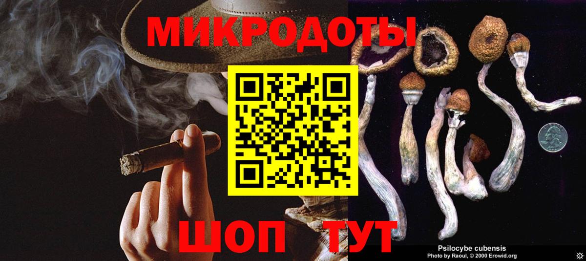 Чита  Псилоцибиновые грибы Magic Shrooms  Вход с VPN 