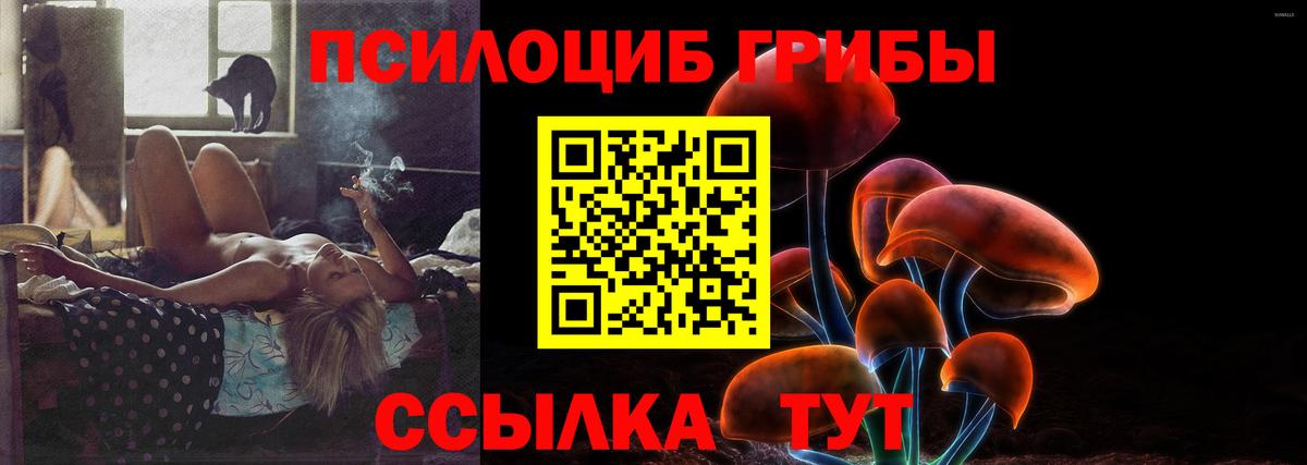 Галлюциногенные грибы мухоморы  Галлюциногенные грибы прущие грибы  Чита 