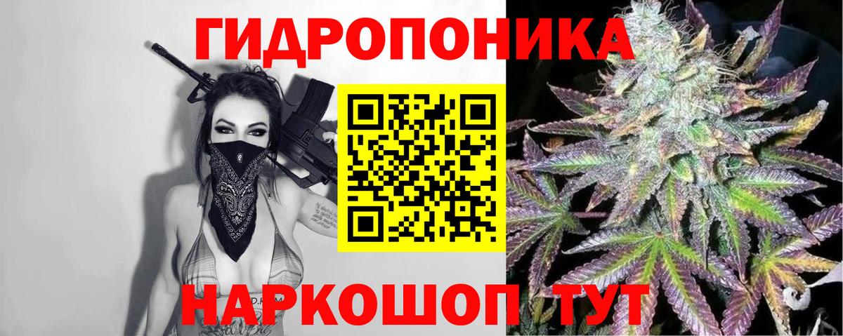 Бошки марихуана планчик  Канабис Ganja  Конопля OG Kush  Чита 