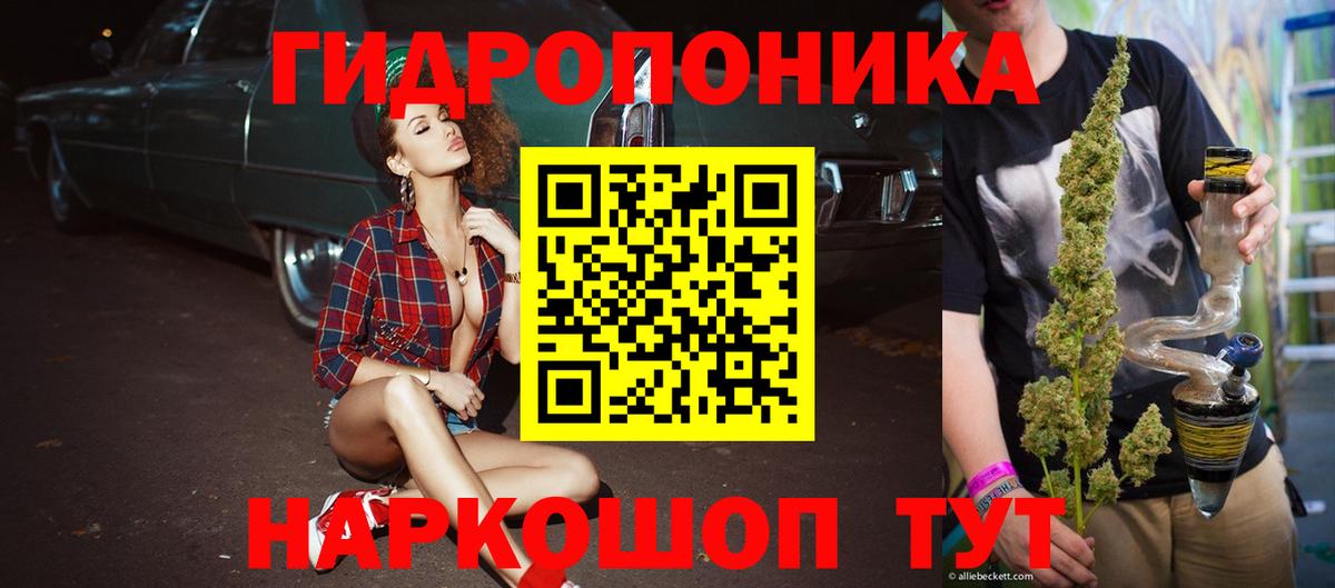 Бошки марихуана Ganja Чита